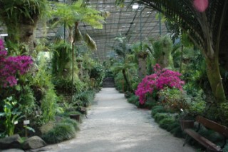 Botanischer Garten 